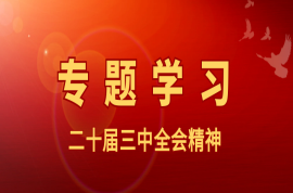 科瑞党建｜三中全会《决定》提出的“六个坚持”是指什么？