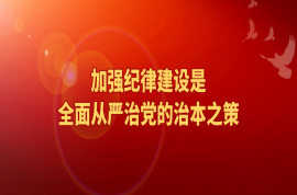 学习贯彻《中国共产党纪律处分条例》（二）